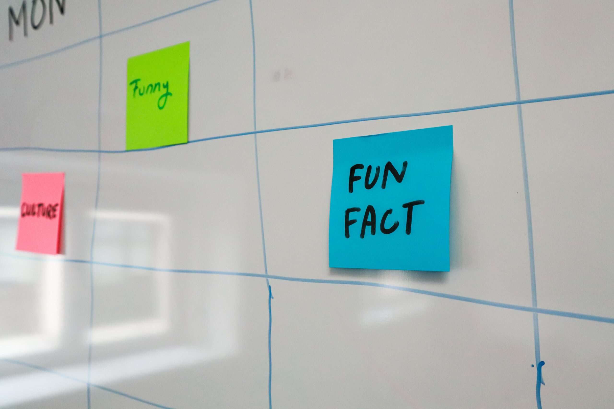 Sticky note that says Fun Fact used as a featured image for a blog about real estate predictions and what has actually happened in the local real estate market